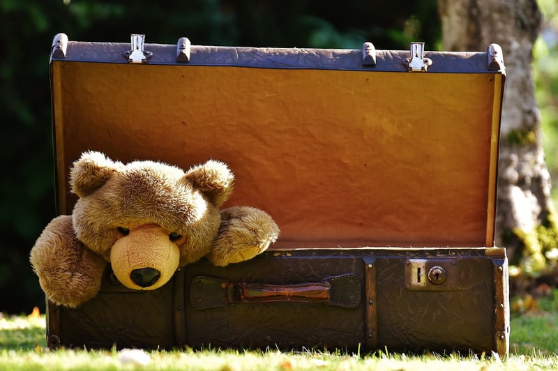 Vintage Suitcase Garden